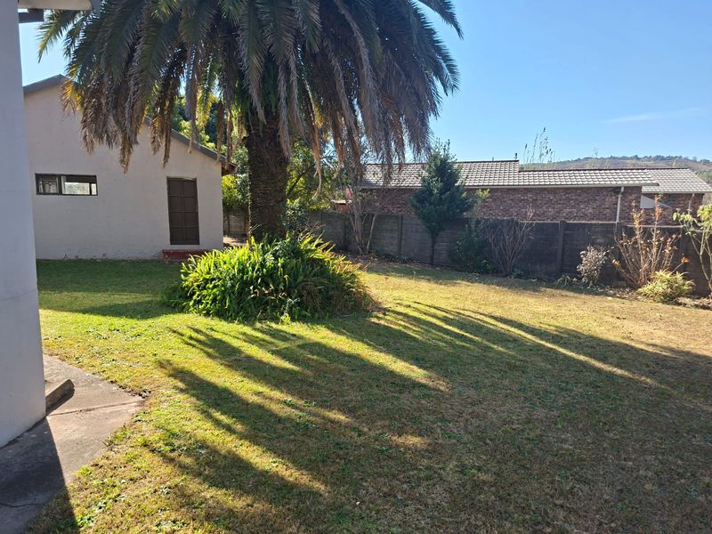 A spacious rear garden featuring a large palm tree, established lawn, and concrete boundary wall, providing a private outdoor area.