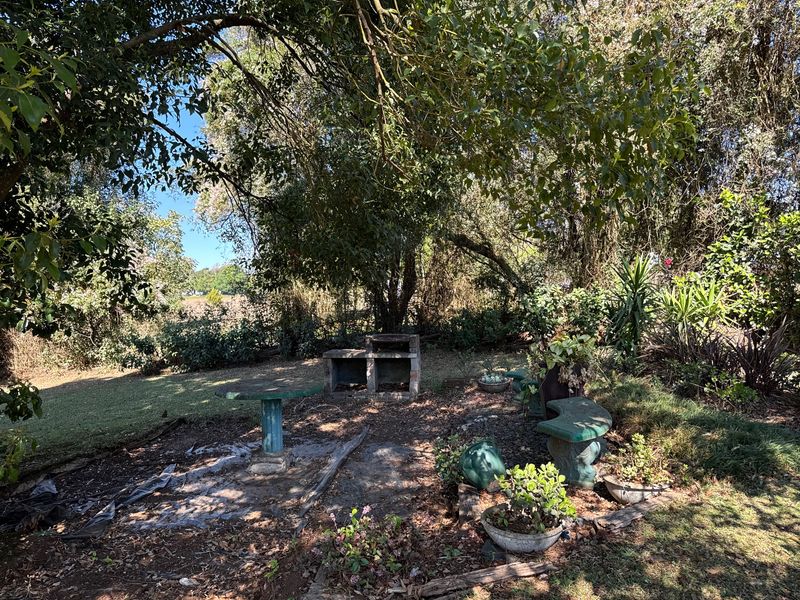 A rustic garden area featuring a built-in brick braai and concrete seating, shaded by mature trees, offering potential for landscaping and outdoor entertainment development.