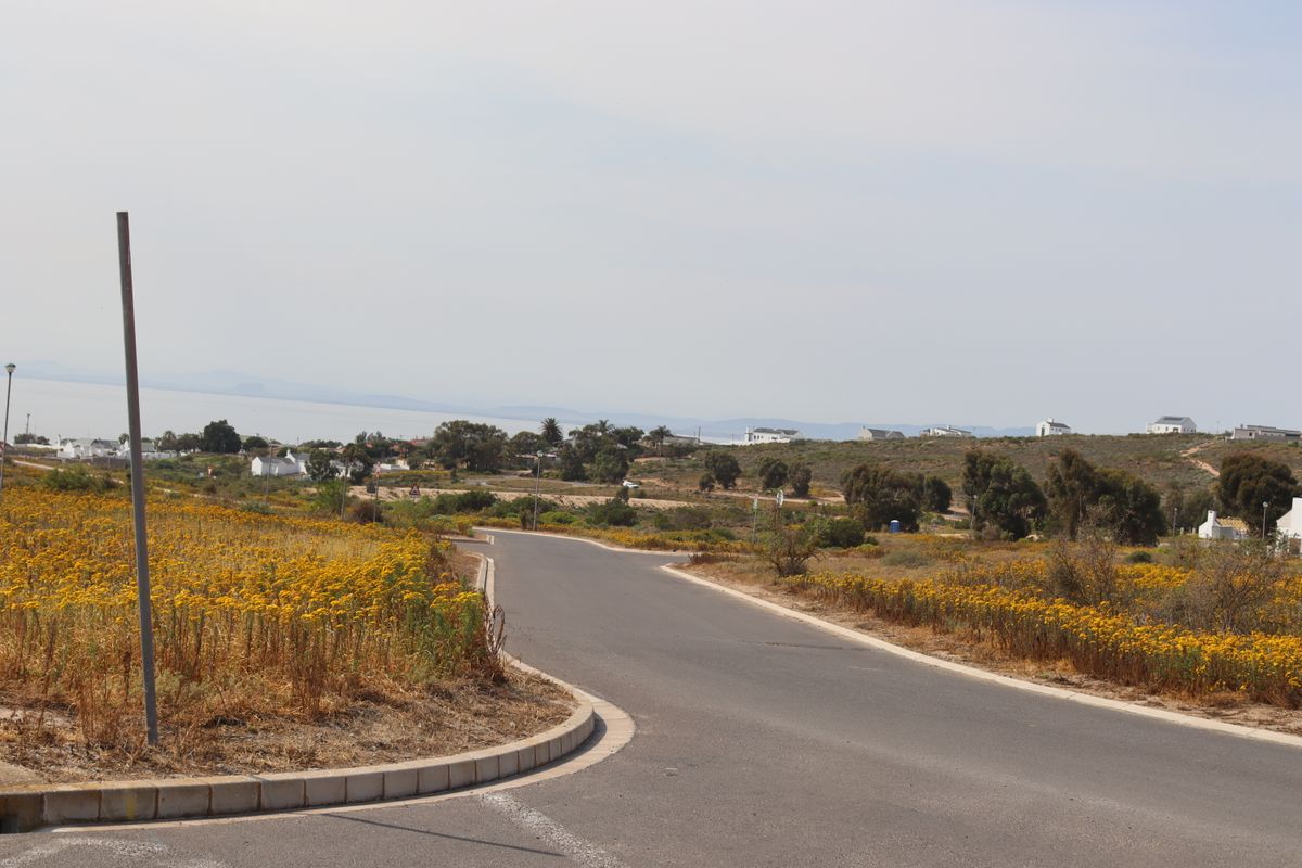 A view of a paved residential street winding through a vacant land area with surrounding coastal landscape and distant housing.