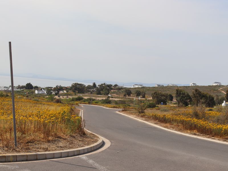 A view of a paved residential street winding through a vacant land area with surrounding coastal landscape and distant housing.