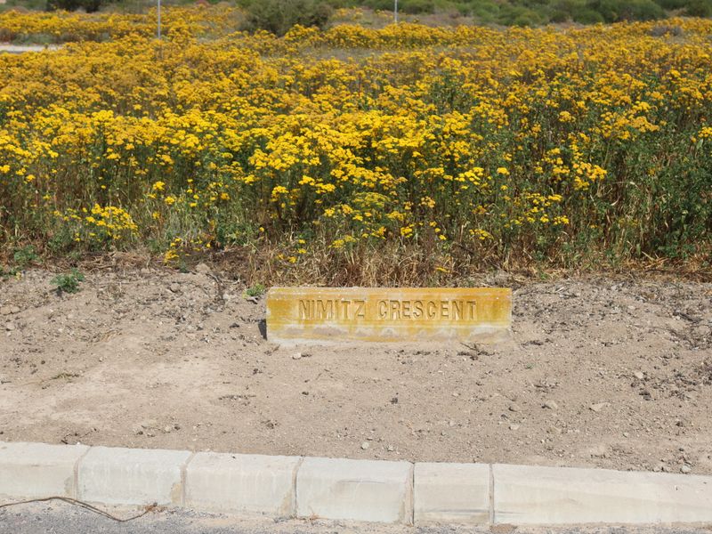 A street-level view of a vacant residential plot featuring a concrete curb and a street name marker for Nimitz Crescent.
