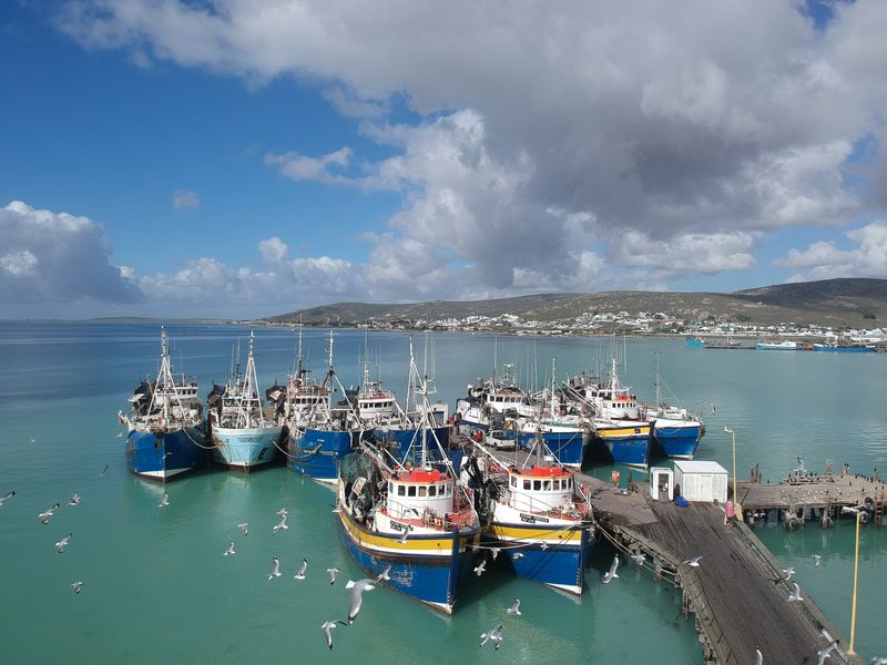 A scenic view of a harbour featuring multiple moored fishing vessels docked at a wooden jetty with coastal landscape in the background.
