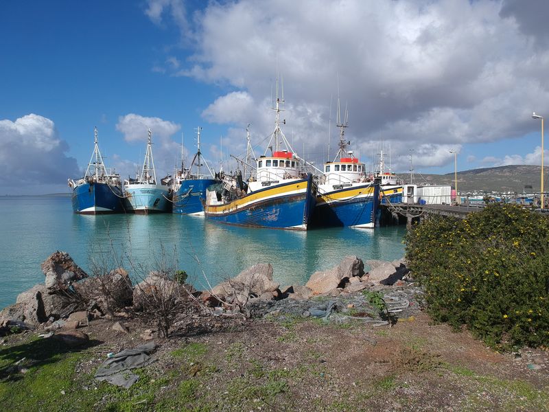 A scenic view of a harbour featuring multiple fishing vessels docked at a jetty with a rocky shoreline in the foreground.
