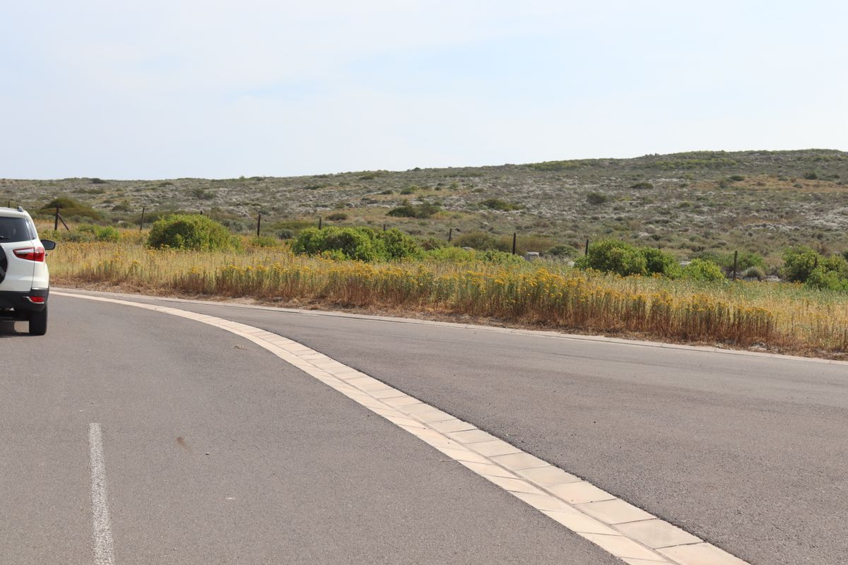 A view of the paved road and concrete curbing bordering the vacant residential land, featuring natural coastal vegetation and perimeter fencing.