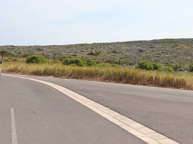 A view of the paved road and concrete curbing bordering the vacant residential land, featuring natural coastal vegetation and perimeter fencing.