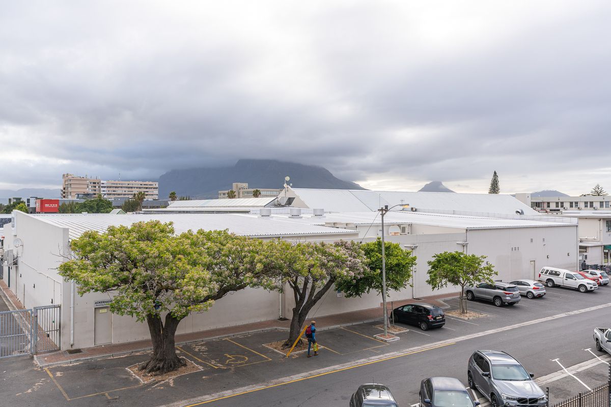 An elevated view of the rear exterior of the building, featuring a large metal roof, paved parking area, and surrounding mature trees.