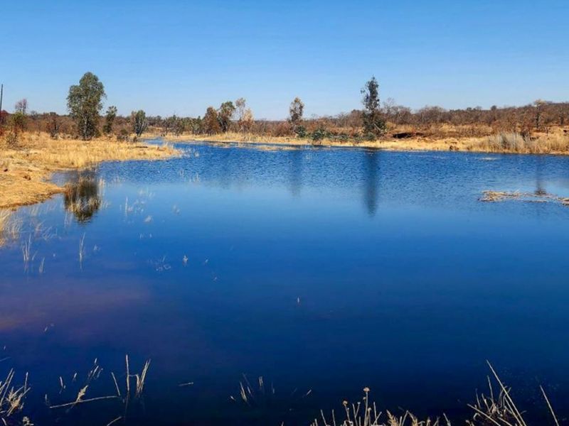 A scenic view of a natural dam located on the farm property, surrounded by open veld and indigenous vegetation.
