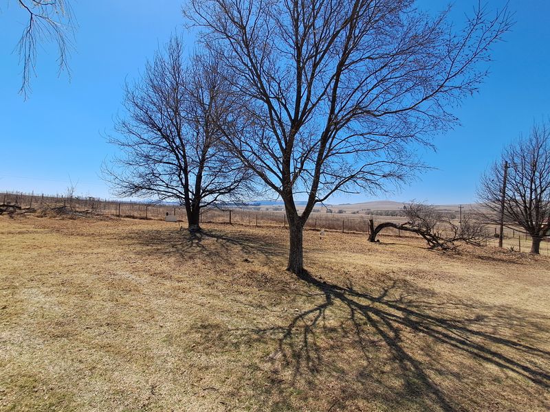A wide, open garden area featuring mature trees and wire perimeter fencing, overlooking a rural landscape.