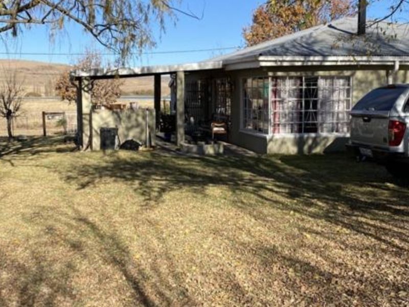 Rear view of the house featuring a covered patio area, metal roofing, and security bars on the windows, set within a spacious garden.