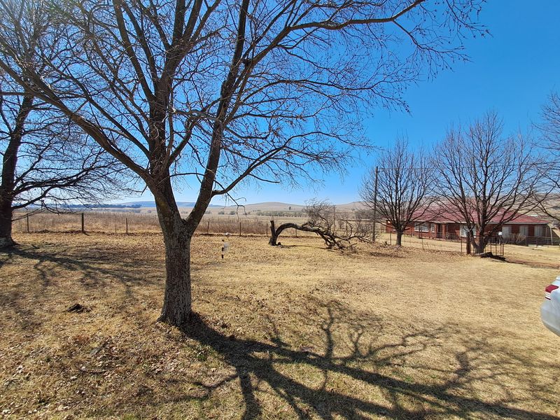 A spacious, dry garden area featuring mature trees, wire fencing, and open views of the surrounding rural landscape.