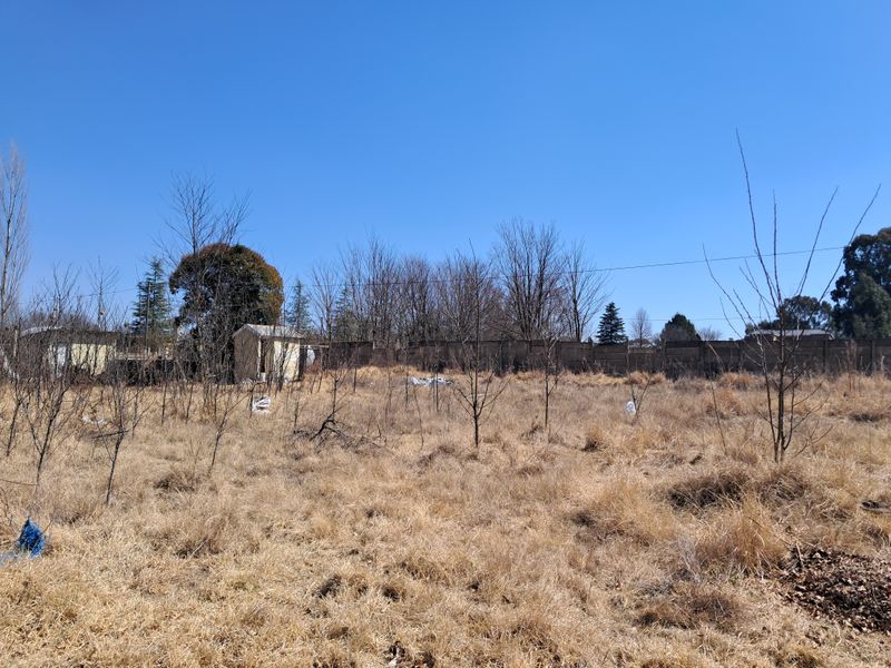 A large, undeveloped plot of land featuring dry grass, scattered trees, a small outbuilding, and a precast concrete boundary wall.