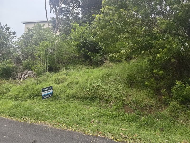 A sloped residential vacant land plot featuring mature trees and direct access to an asphalt road.