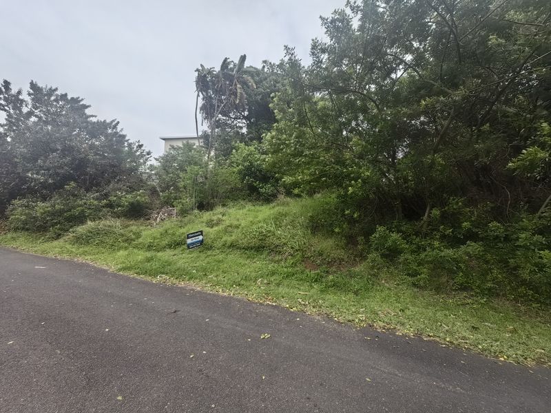 A view of a vacant residential plot from the adjacent asphalt road, featuring sloped terrain and established vegetation.