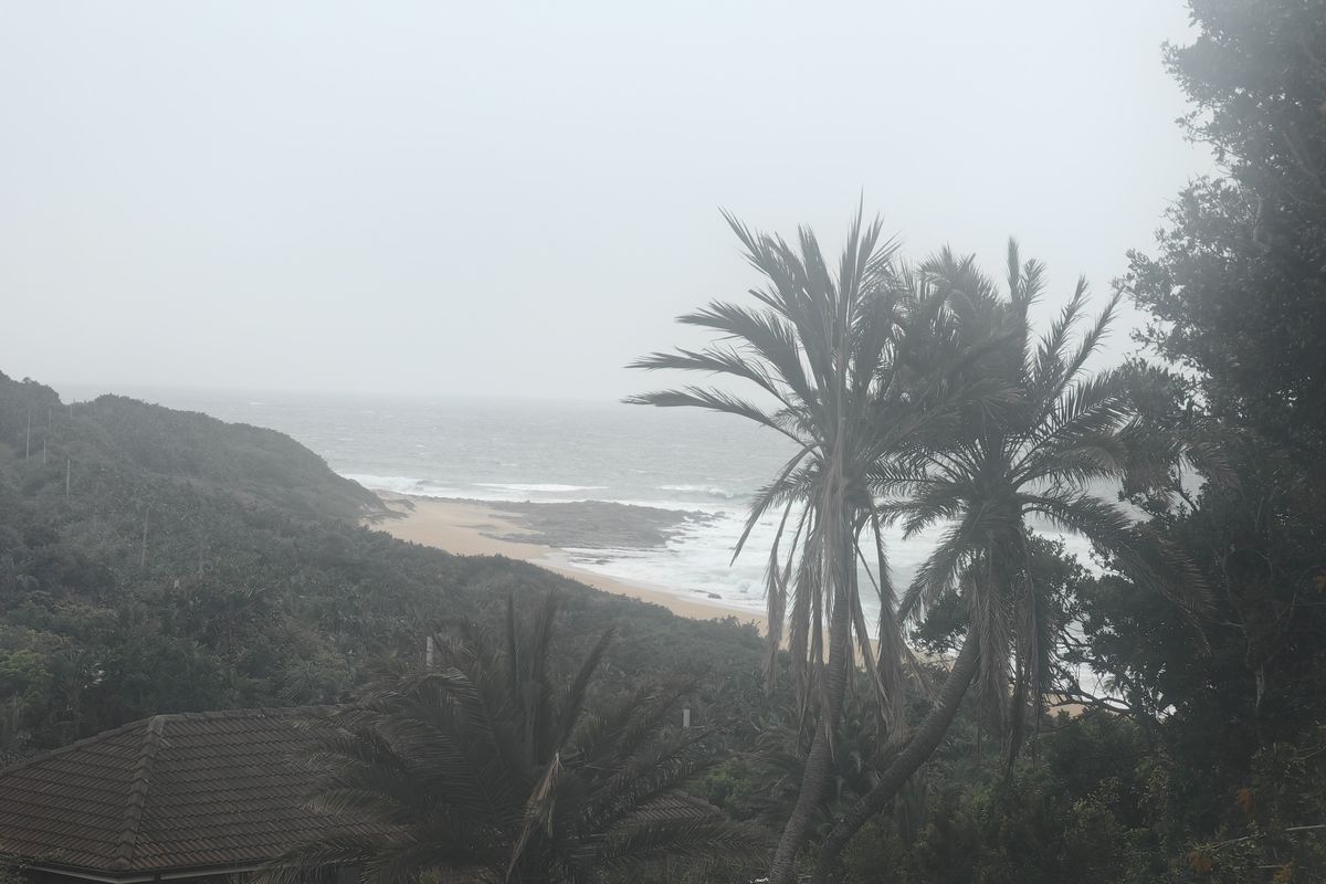 A scenic coastal view overlooking the beach and ocean, framed by lush greenery and palm trees.