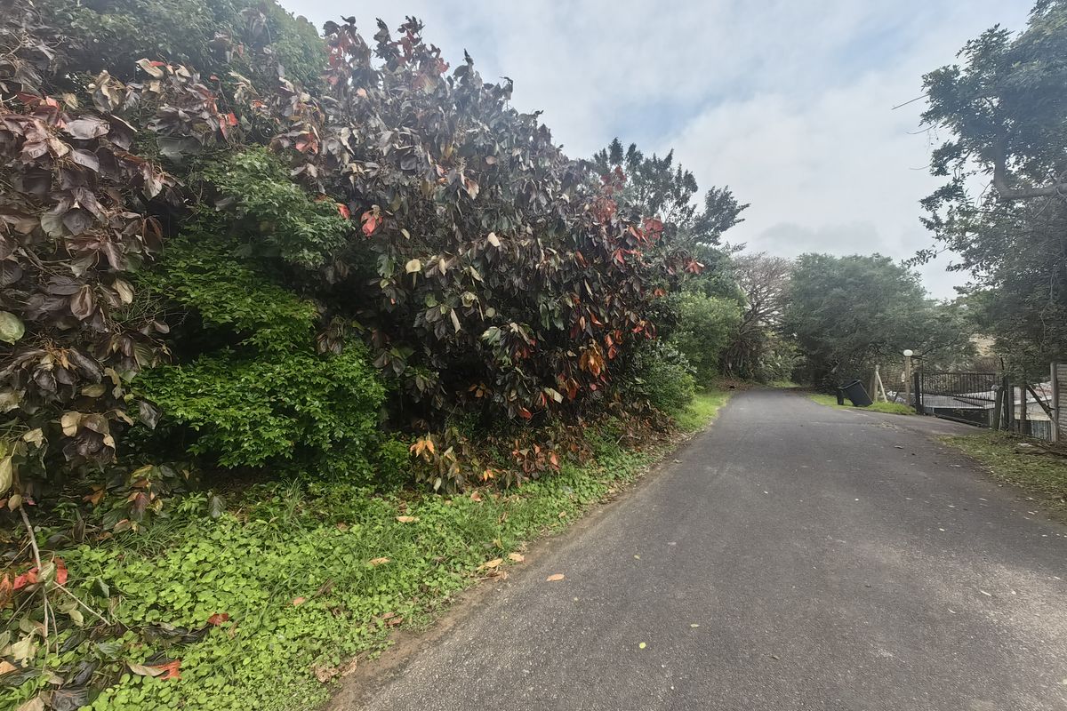 A view of the asphalt street approach leading to the residential vacant land, bordered by mature trees and established vegetation.