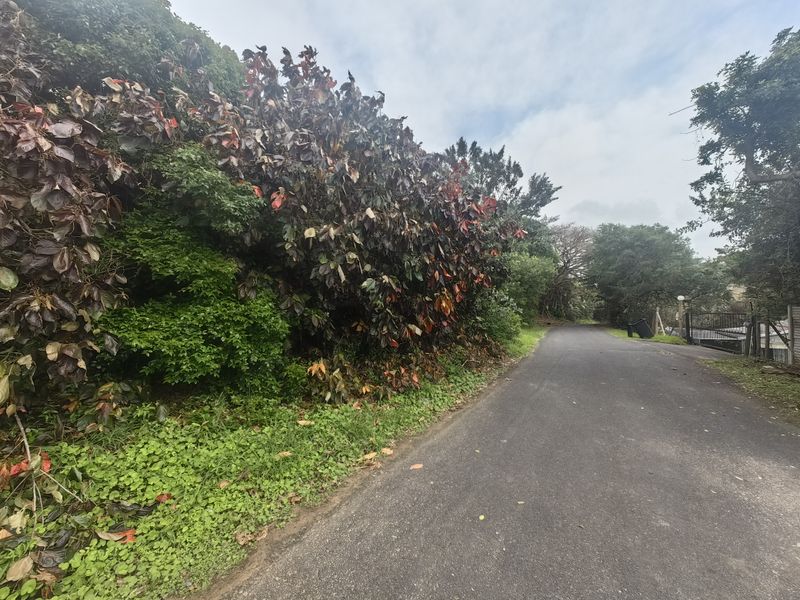 A view of the asphalt street approach leading to the residential vacant land, bordered by mature trees and established vegetation.