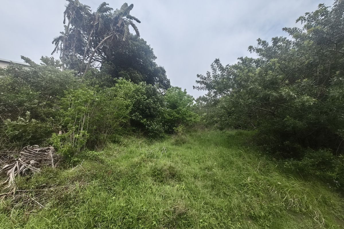 A view of a vacant residential plot featuring dense natural vegetation and mature trees, offering a blank canvas for future development.