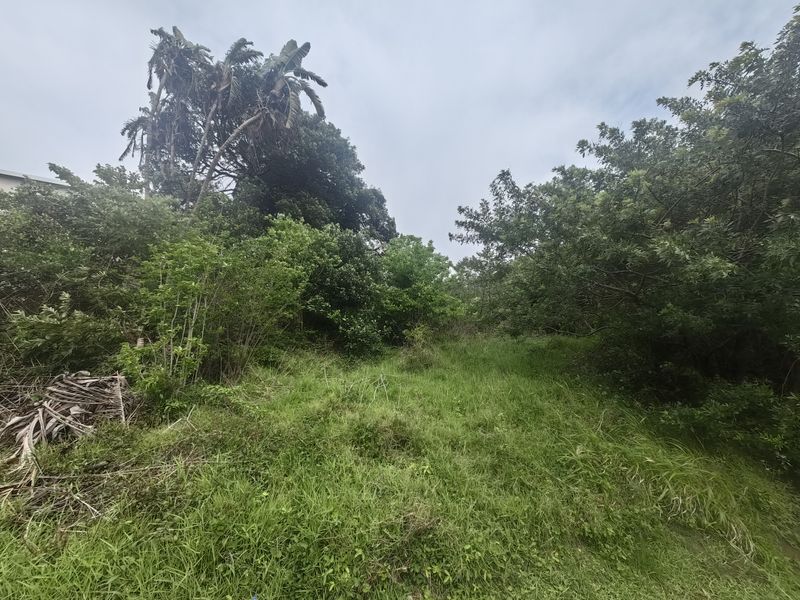 A view of a vacant residential plot featuring dense natural vegetation and mature trees, offering a blank canvas for future development.