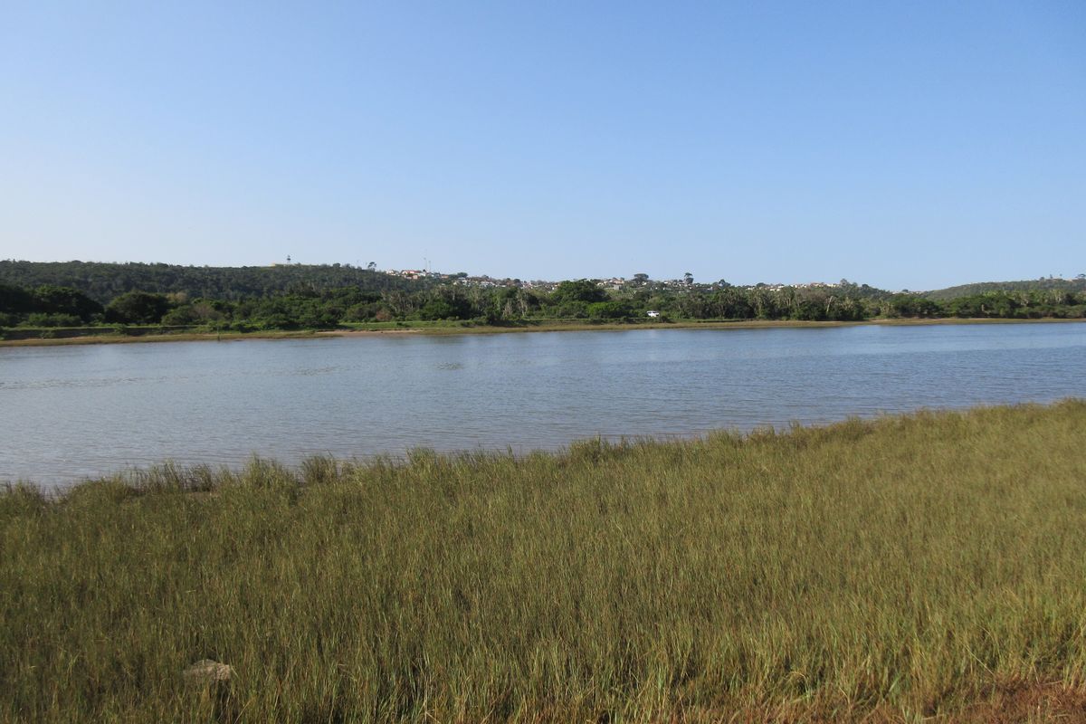 A scenic view of a tranquil river and natural landscape, showcasing the peaceful surroundings of the vacant residential land.