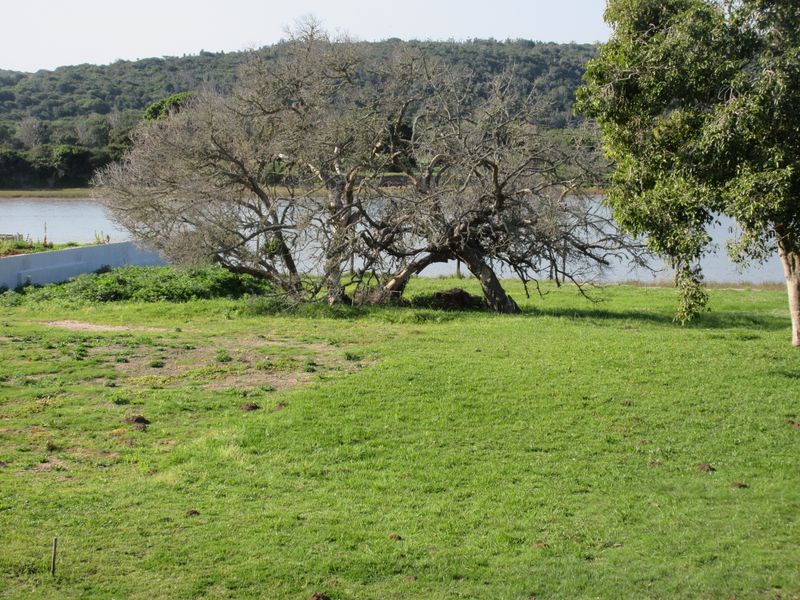 A scenic view of a grassy plot featuring mature trees and direct waterfront access, ideal for residential development.