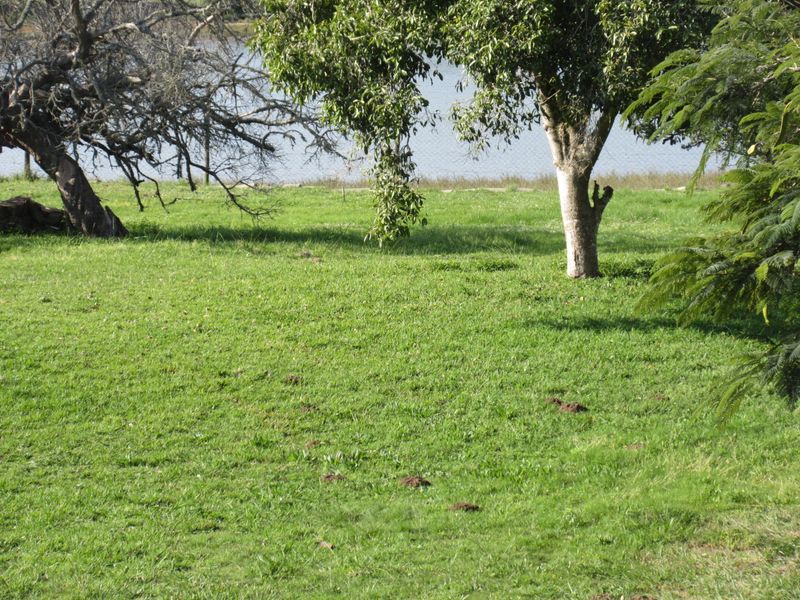 A scenic view of a grassy plot featuring mature trees and direct water frontage, offering a peaceful natural setting.