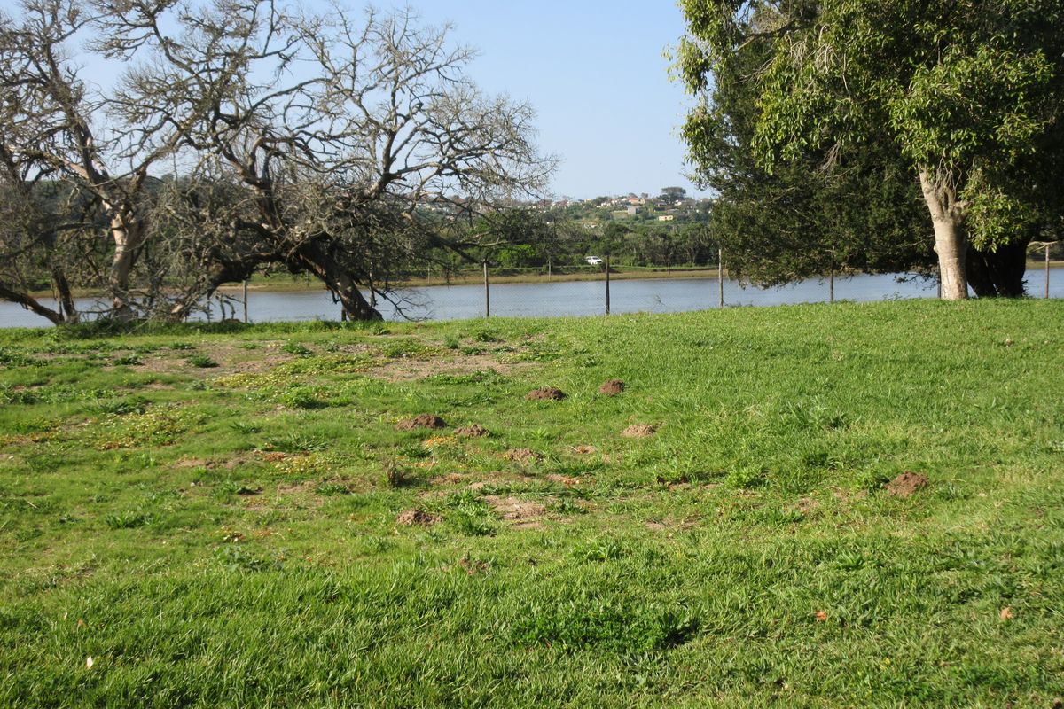 A scenic view of the waterfront from the residential land, featuring mature trees and a wire fence boundary.