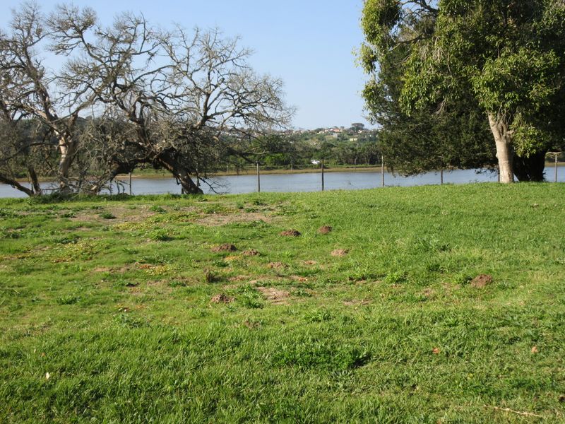A scenic view of the waterfront from the residential land, featuring mature trees and a wire fence boundary.