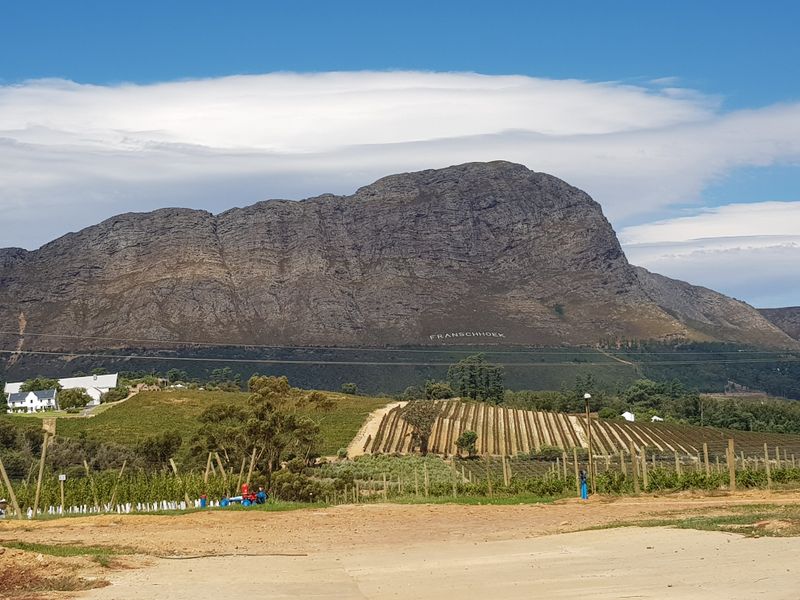Rare Franschhoek Opportunity - Photo 6