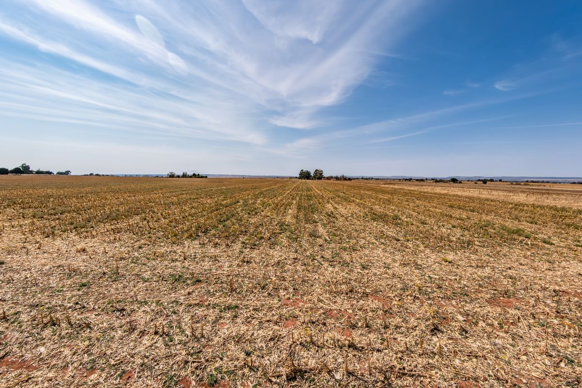 A wide-angle view of a large, flat, vacant residential plot featuring dry agricultural land under a clear blue sky.