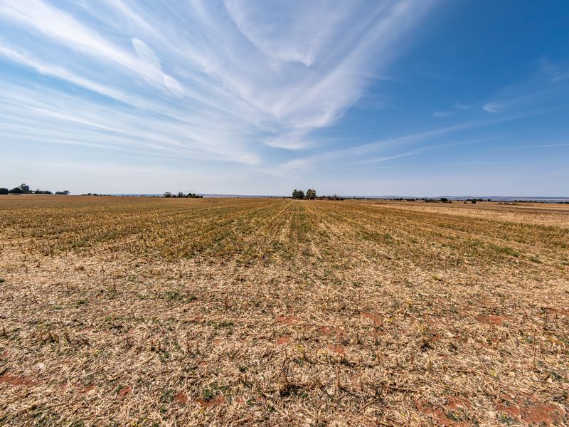 A wide-angle view of a large, flat, vacant residential plot featuring dry agricultural land under a clear blue sky.
