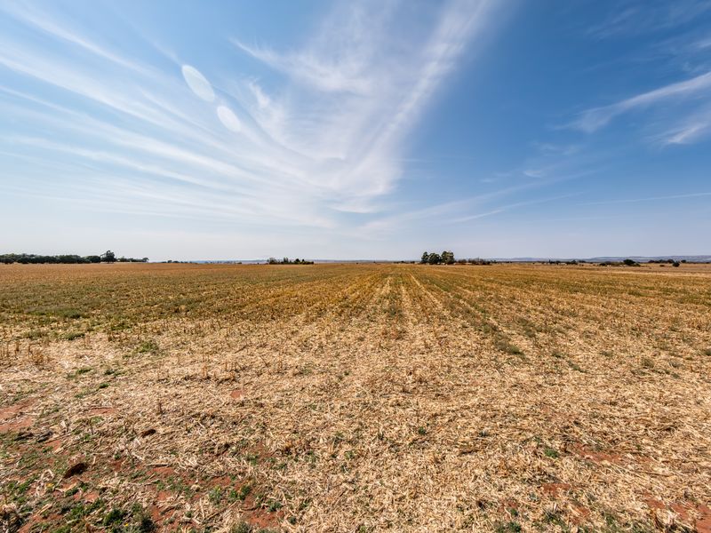 A wide-angle view of expansive, flat agricultural land under a clear blue sky, suitable for residential development.