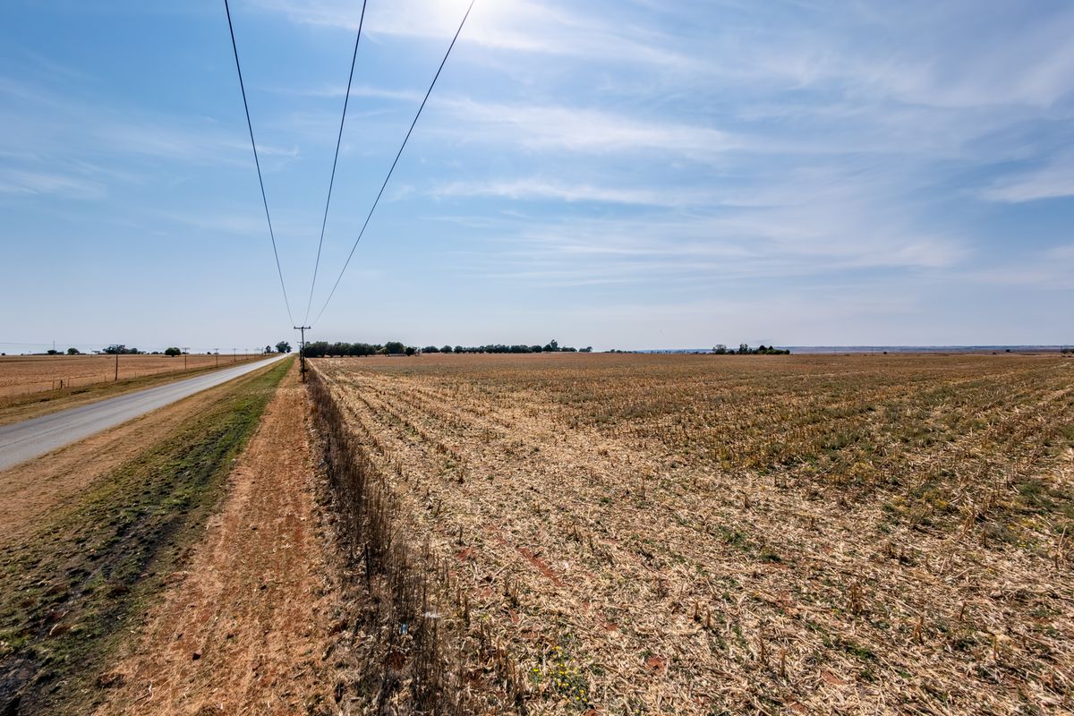 A wide-angle view of a vacant residential land plot adjacent to a paved road with overhead power lines visible.
