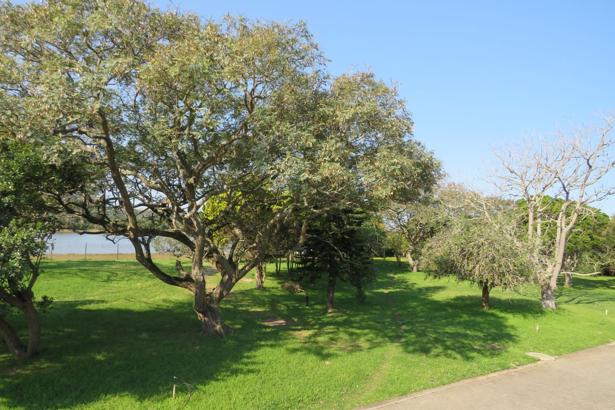 A spacious, well-maintained residential garden featuring mature trees, lush green lawn, and a paved pathway, offering a peaceful outdoor setting.