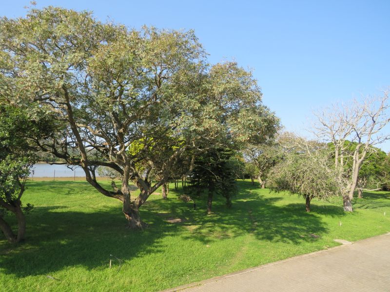 A spacious, well-maintained residential garden featuring mature trees, lush green lawn, and a paved pathway, offering a peaceful outdoor setting.