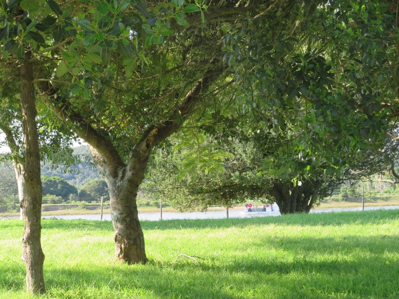 A scenic view of a grassy garden area with mature trees and a wire fence overlooking a water body.