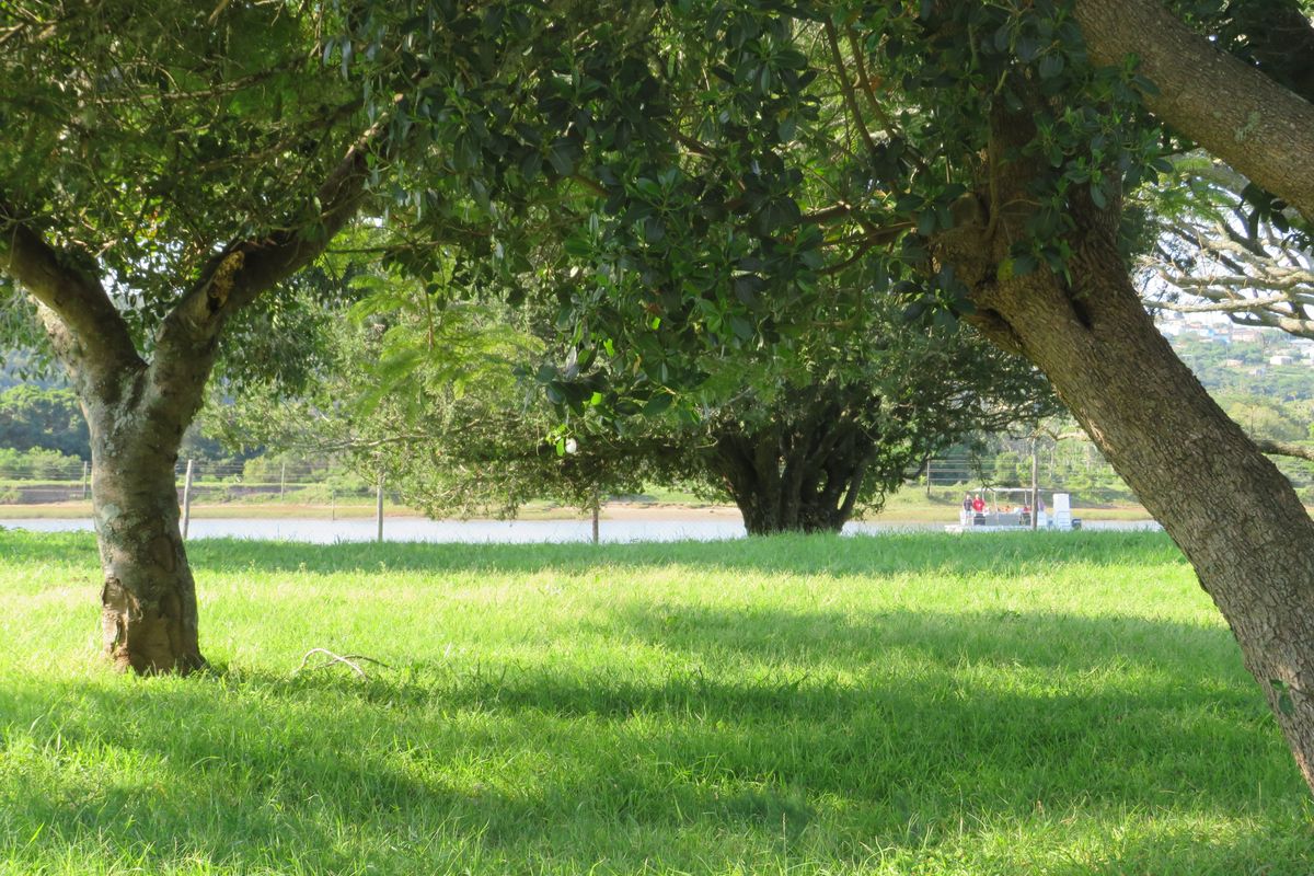 A scenic view of a lush green lawn framed by mature trees, overlooking a tranquil waterfront area.