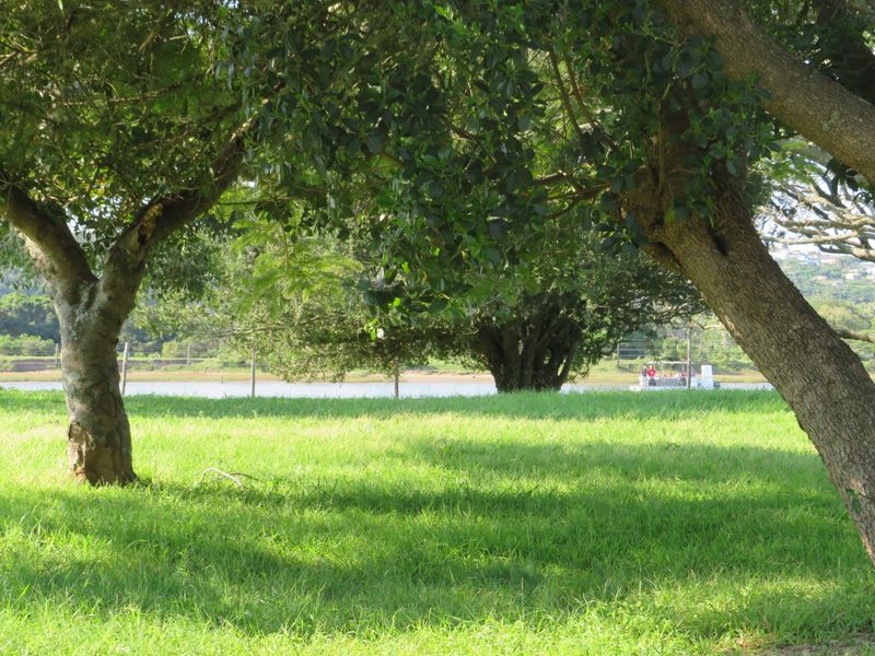 A scenic view of a lush green lawn framed by mature trees, overlooking a tranquil waterfront area.