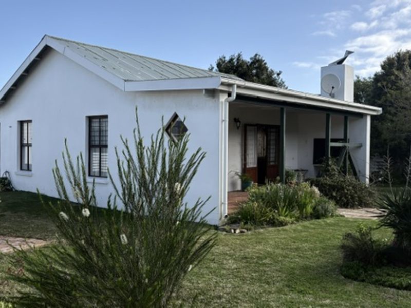 Rear view of the property featuring a covered patio, metal roofing, and a well-maintained garden area.