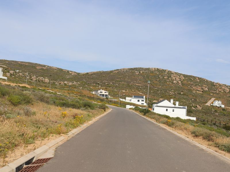 A view of a paved residential street winding through a coastal hillside development with surrounding natural vegetation and existing homes.