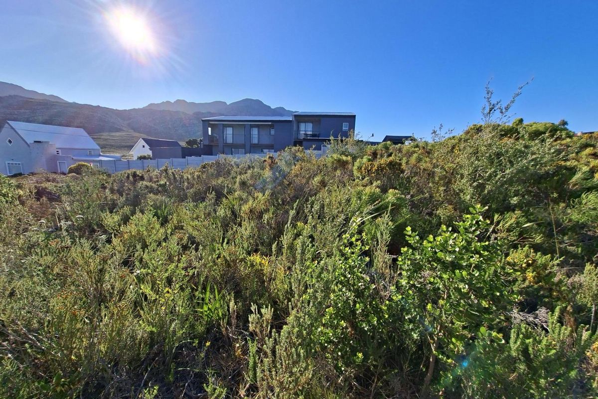 A view of a vacant residential plot featuring native fynbos vegetation with surrounding residential properties and mountain views in the background.