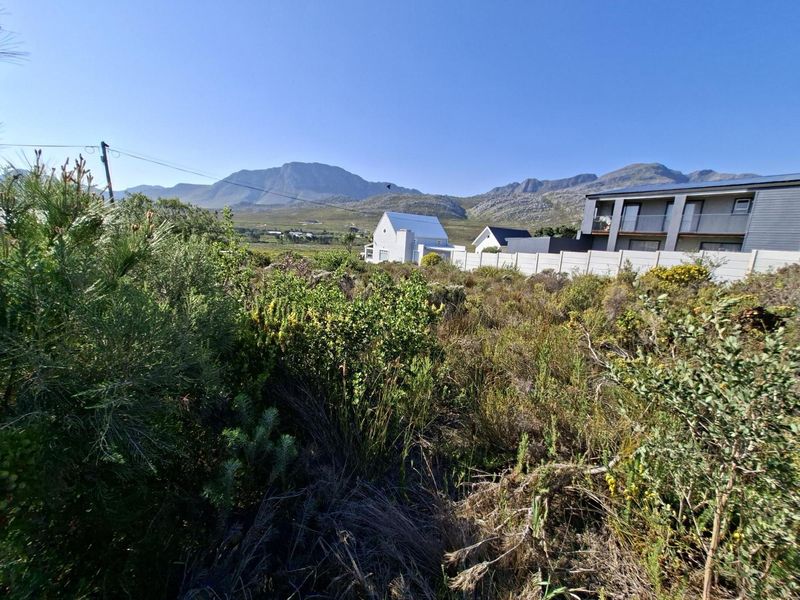 Vacant Land for Sale in Pringle Bay | 600m2 with Stunning Kogelberg Mountain Views - Photo 3
