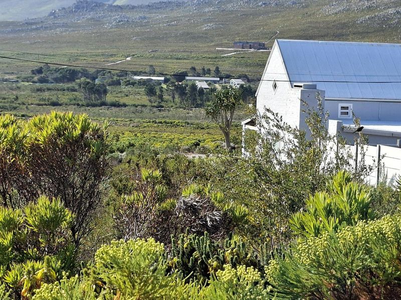 Vacant Land for Sale in Pringle Bay | 600m2 with Stunning Kogelberg Mountain Views - Photo 7