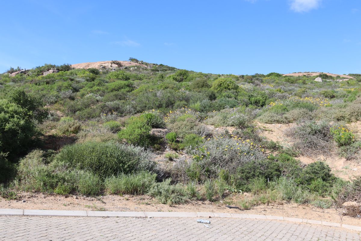 A view of a sloped, undeveloped residential plot featuring natural indigenous vegetation and a paved street verge.