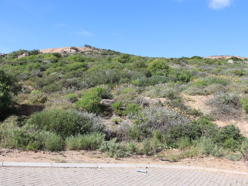 A view of a sloped, undeveloped residential plot featuring natural indigenous vegetation and a paved street verge.