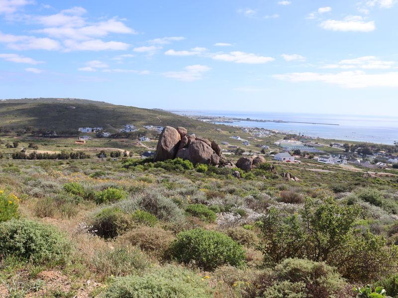 A scenic elevated view of the coastal landscape featuring natural rock formations and surrounding residential development.