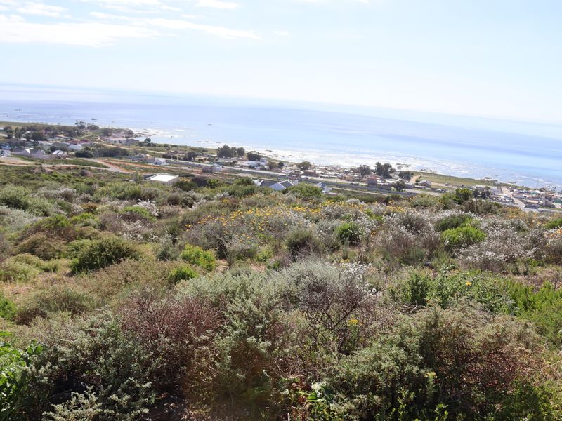 A scenic elevated view overlooking the coastal landscape and nearby residential area, showcasing the natural terrain and ocean horizon.