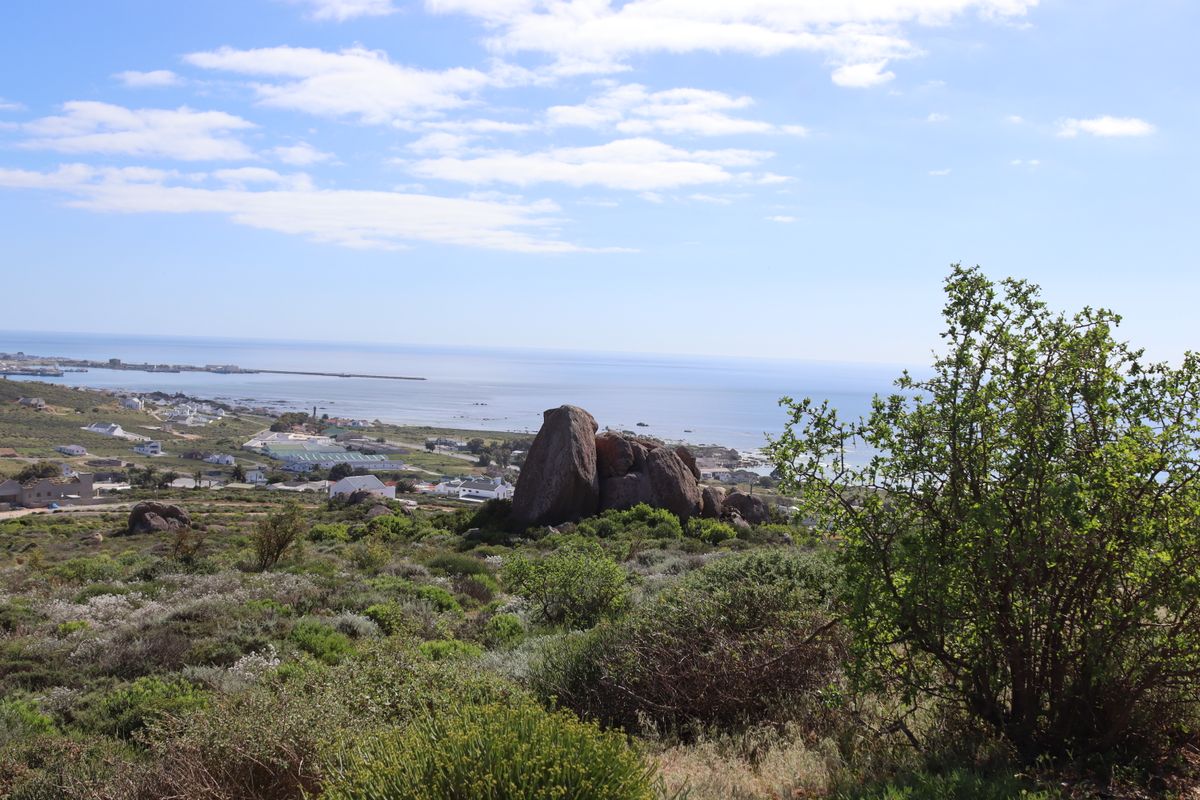 A scenic elevated view of the coastal landscape, featuring natural rock formations and indigenous vegetation overlooking the ocean and nearby town.