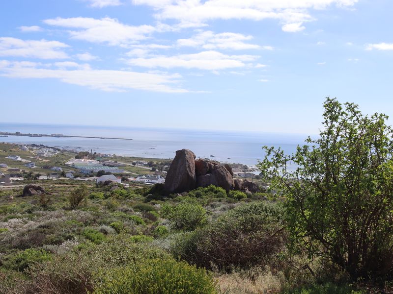 A scenic elevated view of the coastal landscape, featuring natural rock formations and indigenous vegetation overlooking the ocean and nearby town.