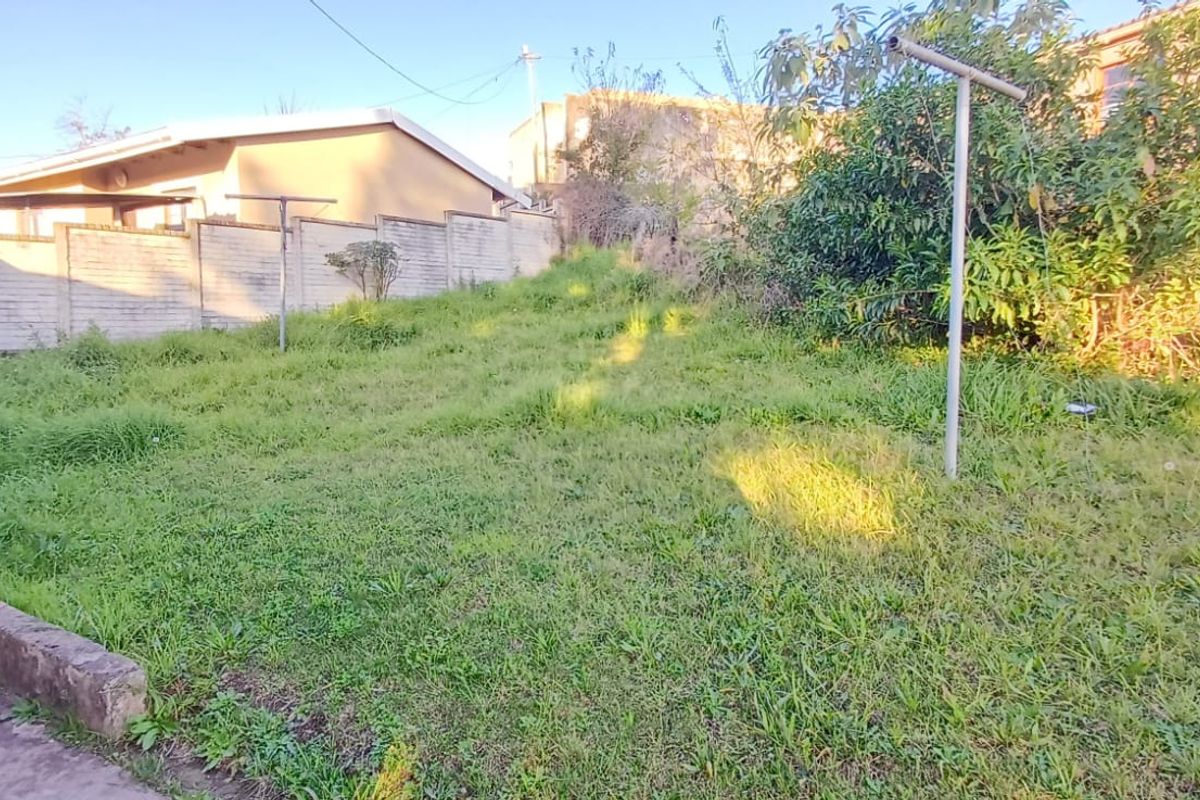 A rear garden area featuring a sloped lawn, brick boundary wall, and concrete retaining edge, requiring landscaping and maintenance.