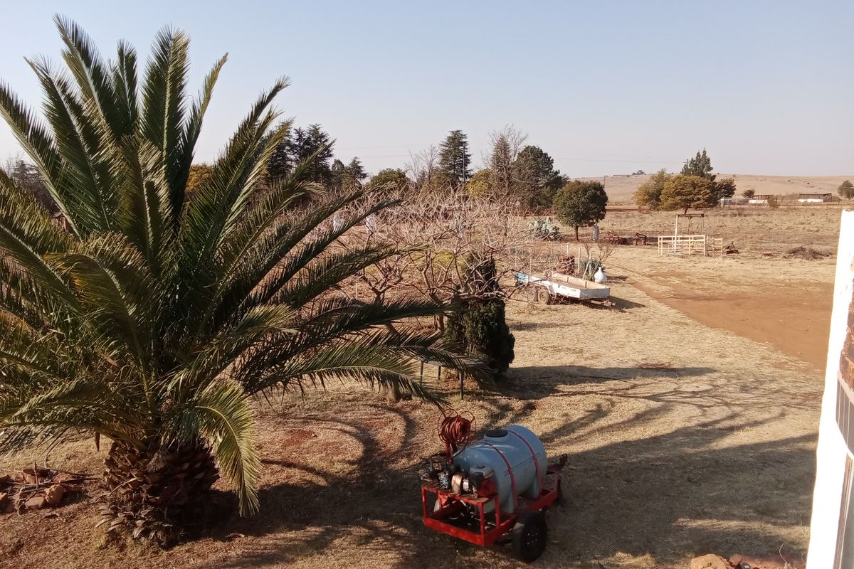 An expansive outdoor farm garden area featuring a large palm tree and open landscape views.